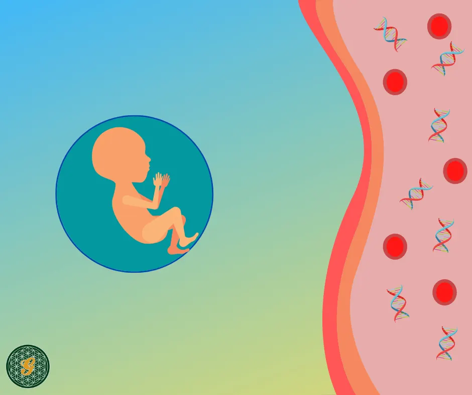 Despre testul prenatal non-invaziv (NIPT)